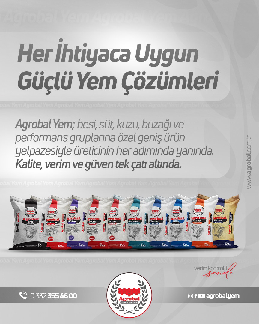HT Medya Tasarım