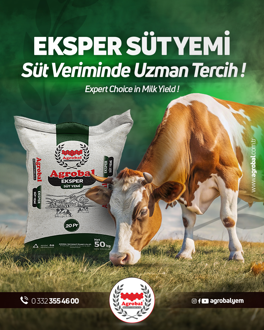 HT Medya Tasarım