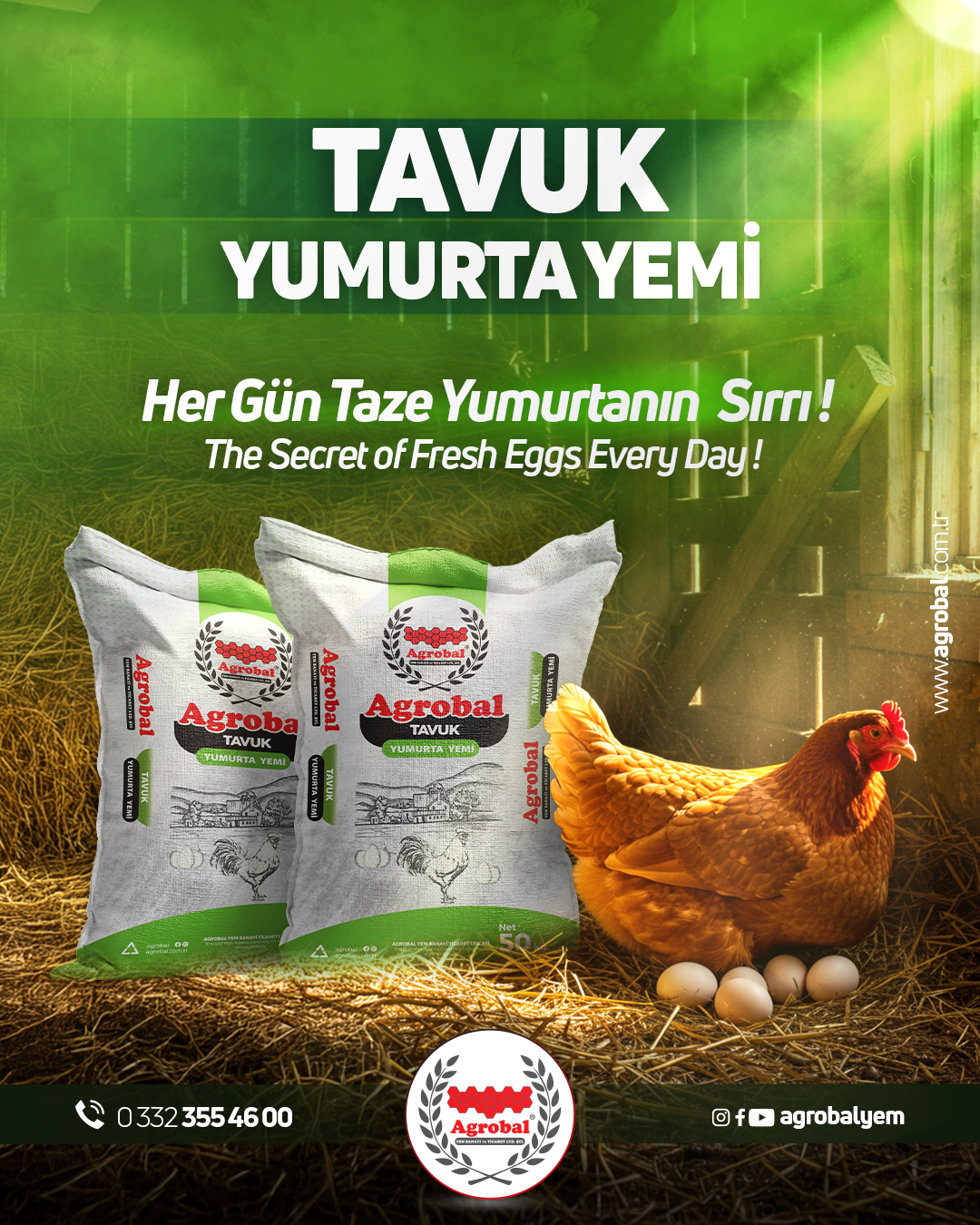 HT Medya Tasarım