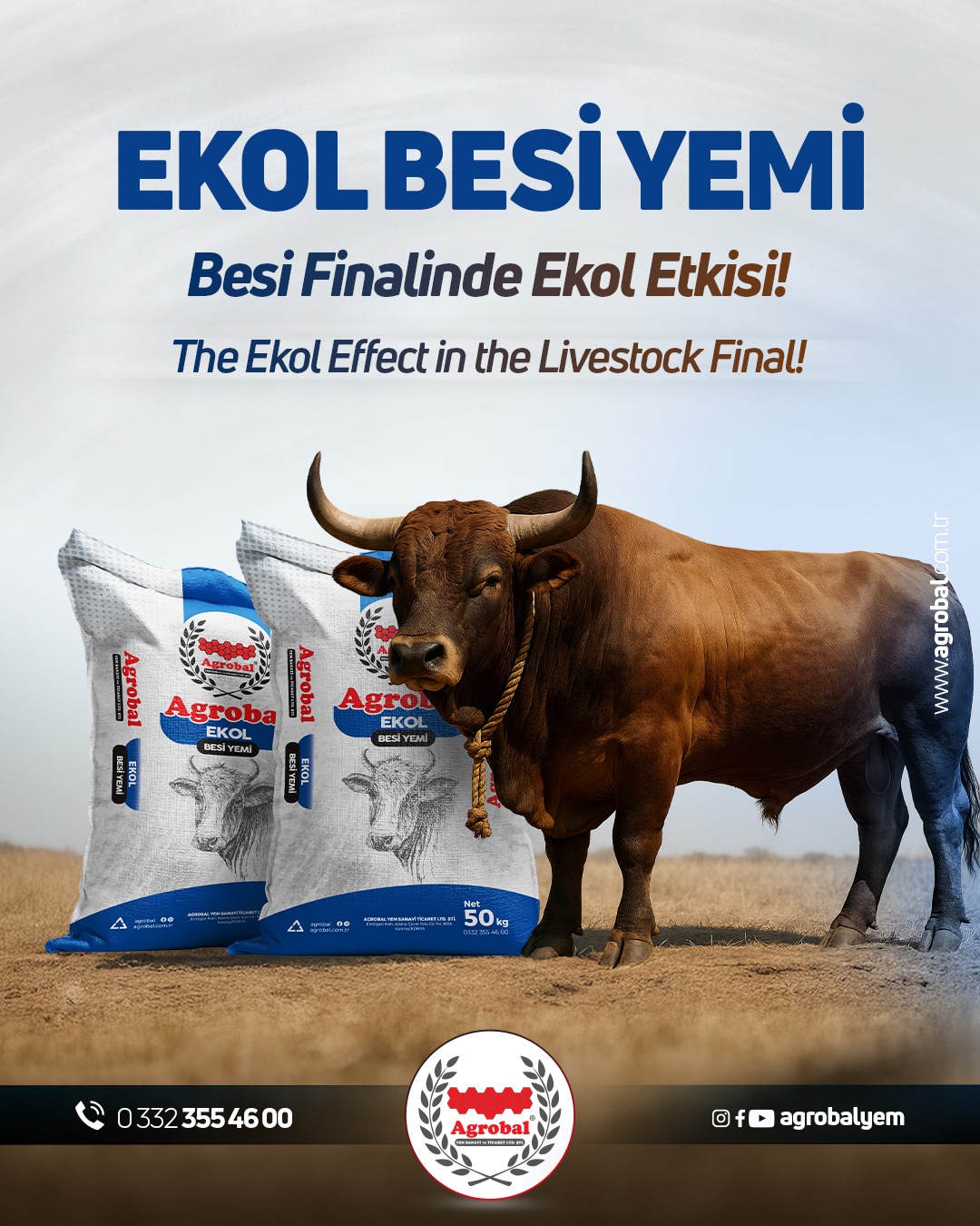 HT Medya Tasarım