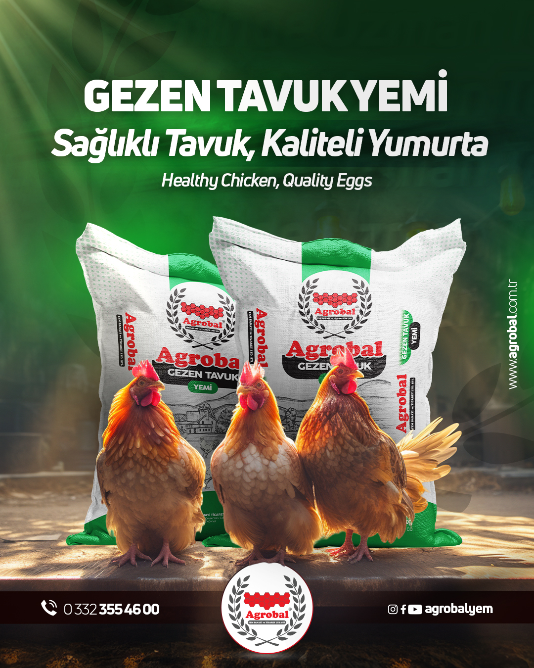 HT Medya Tasarım