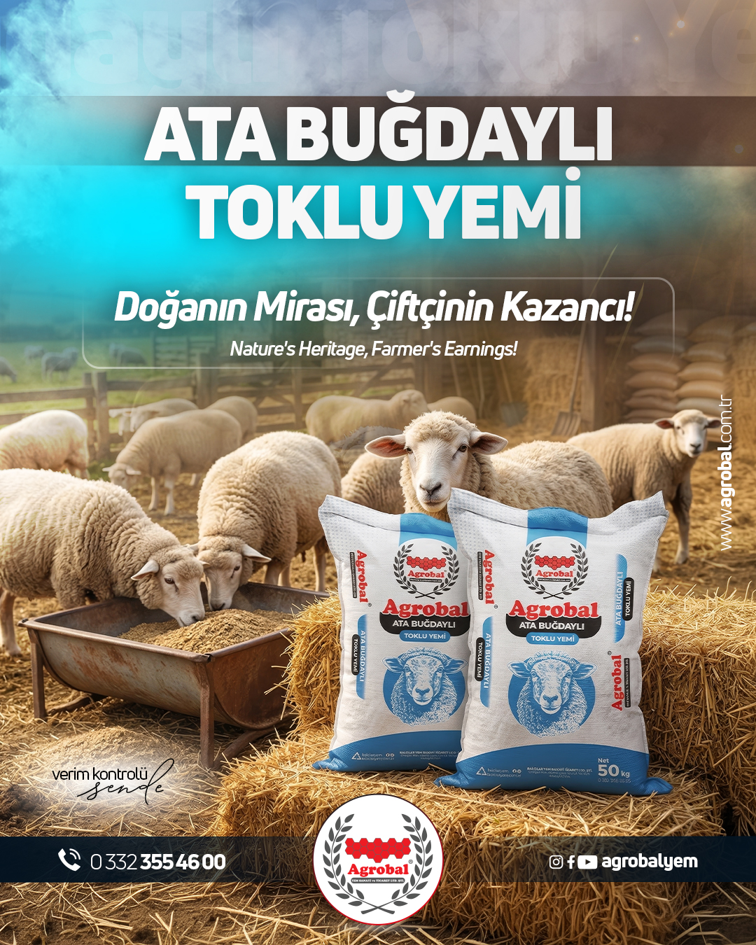 HT Medya Tasarım