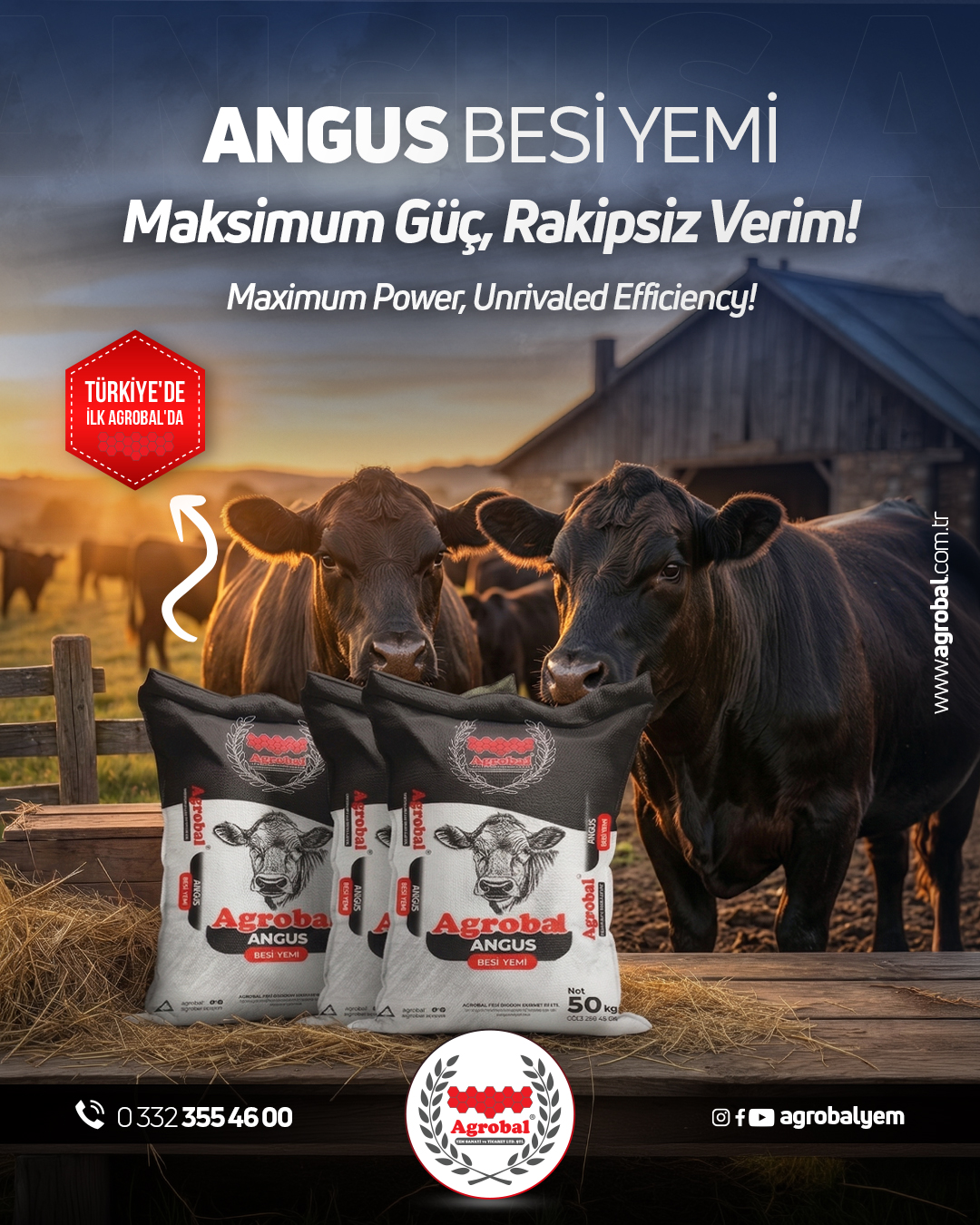 HT Medya Tasarım