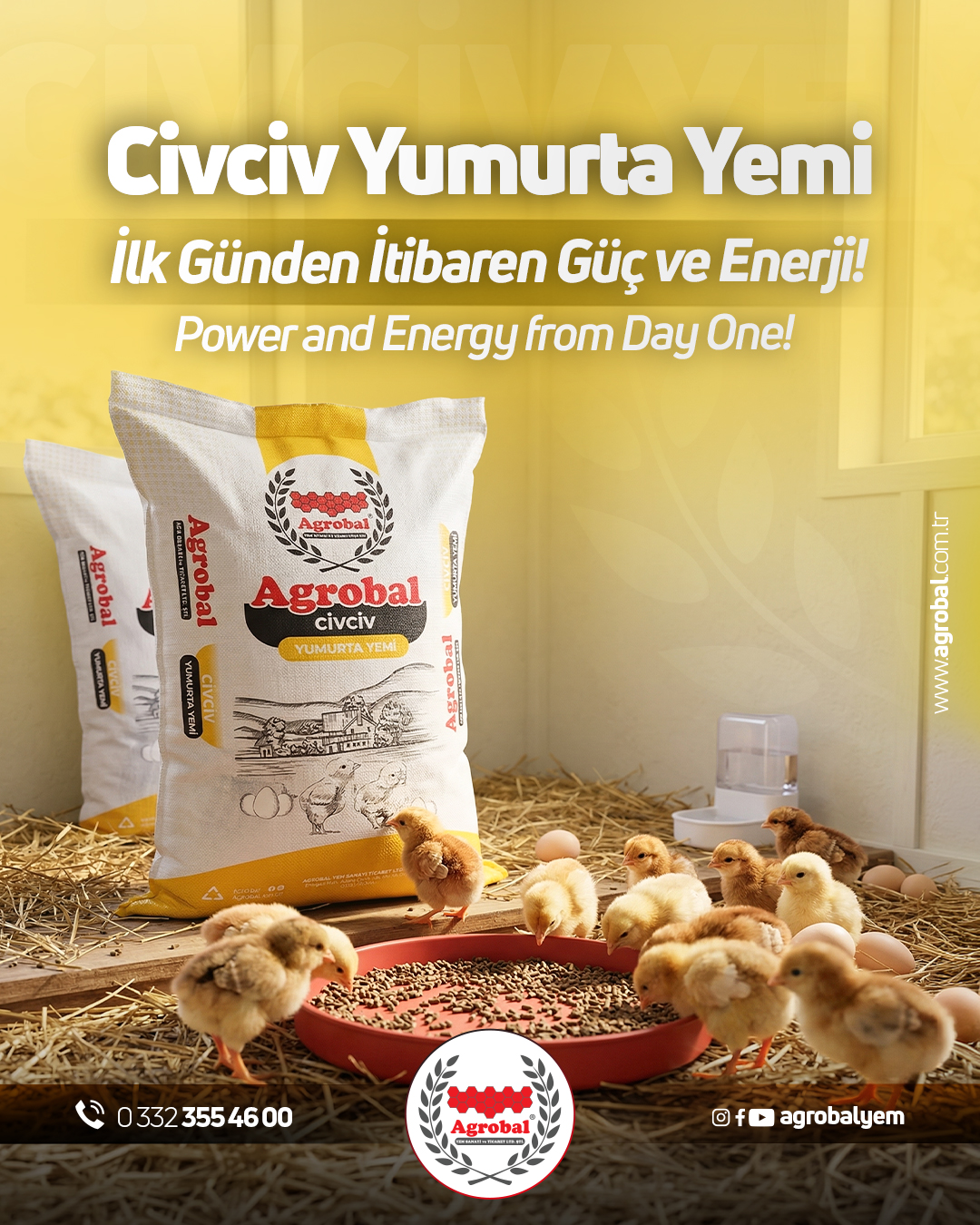 HT Medya Tasarım