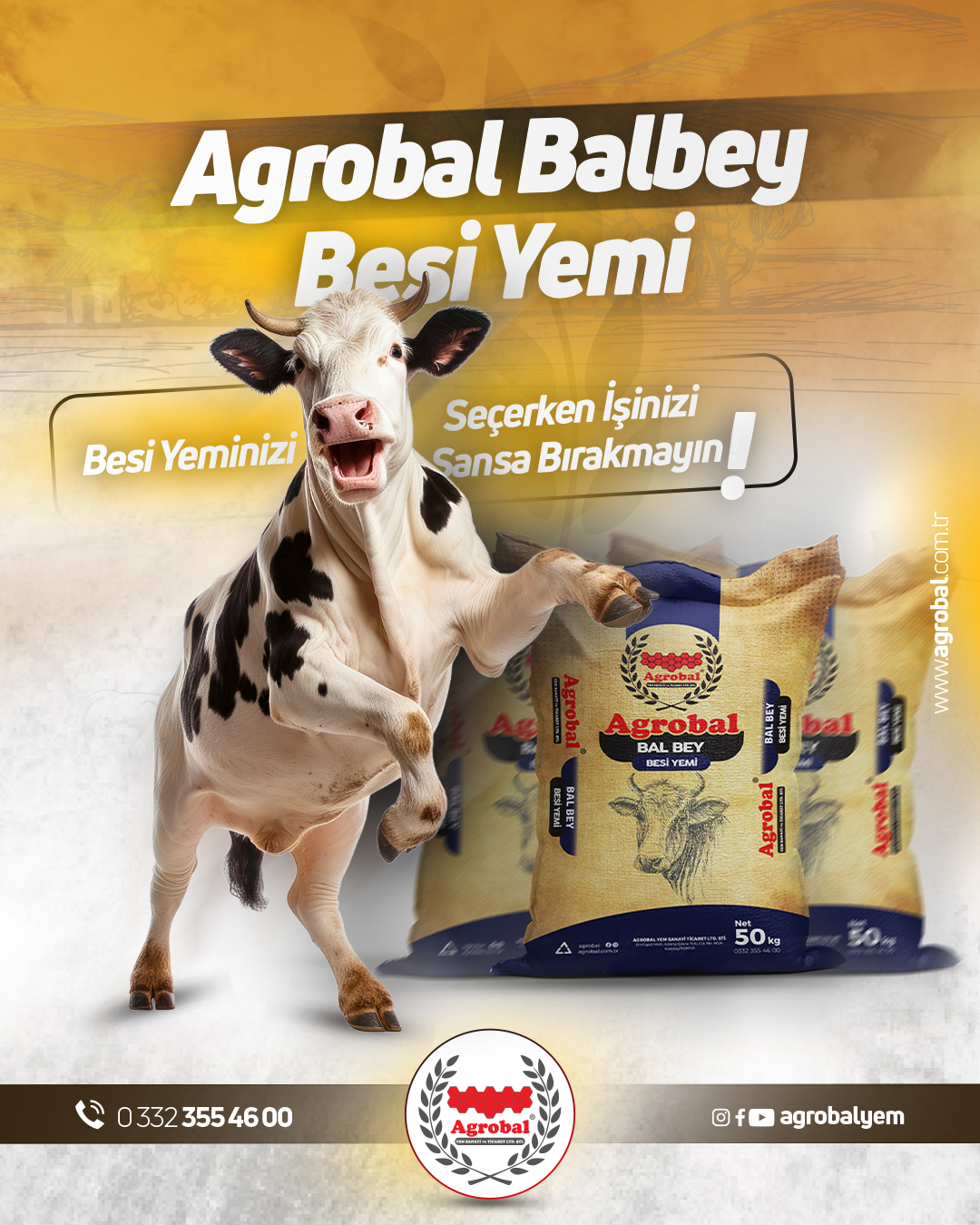 HT Medya Tasarım