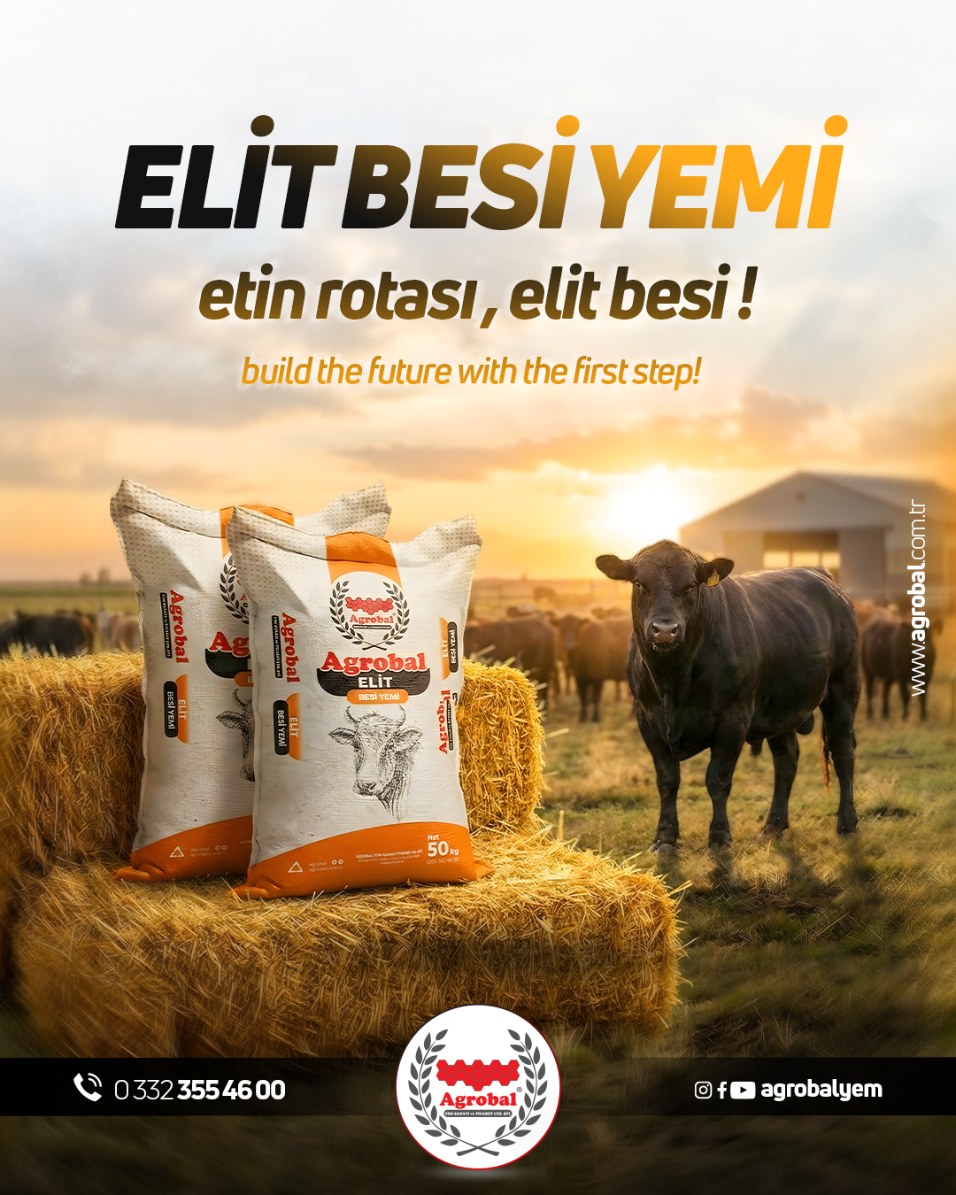 HT Medya Tasarım