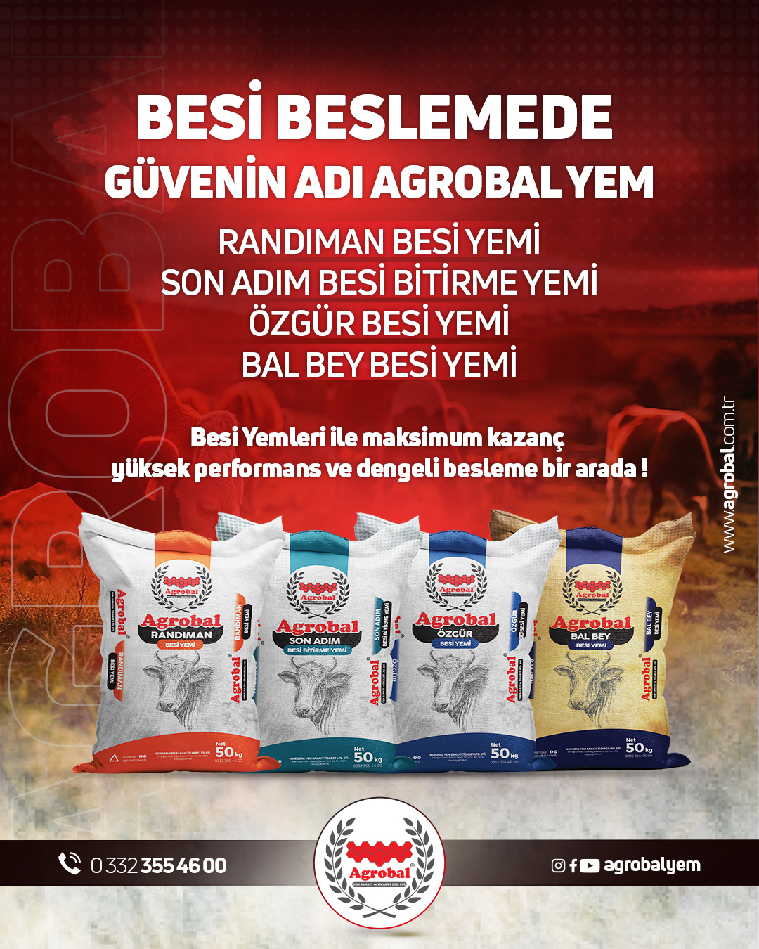 HT Medya Tasarım