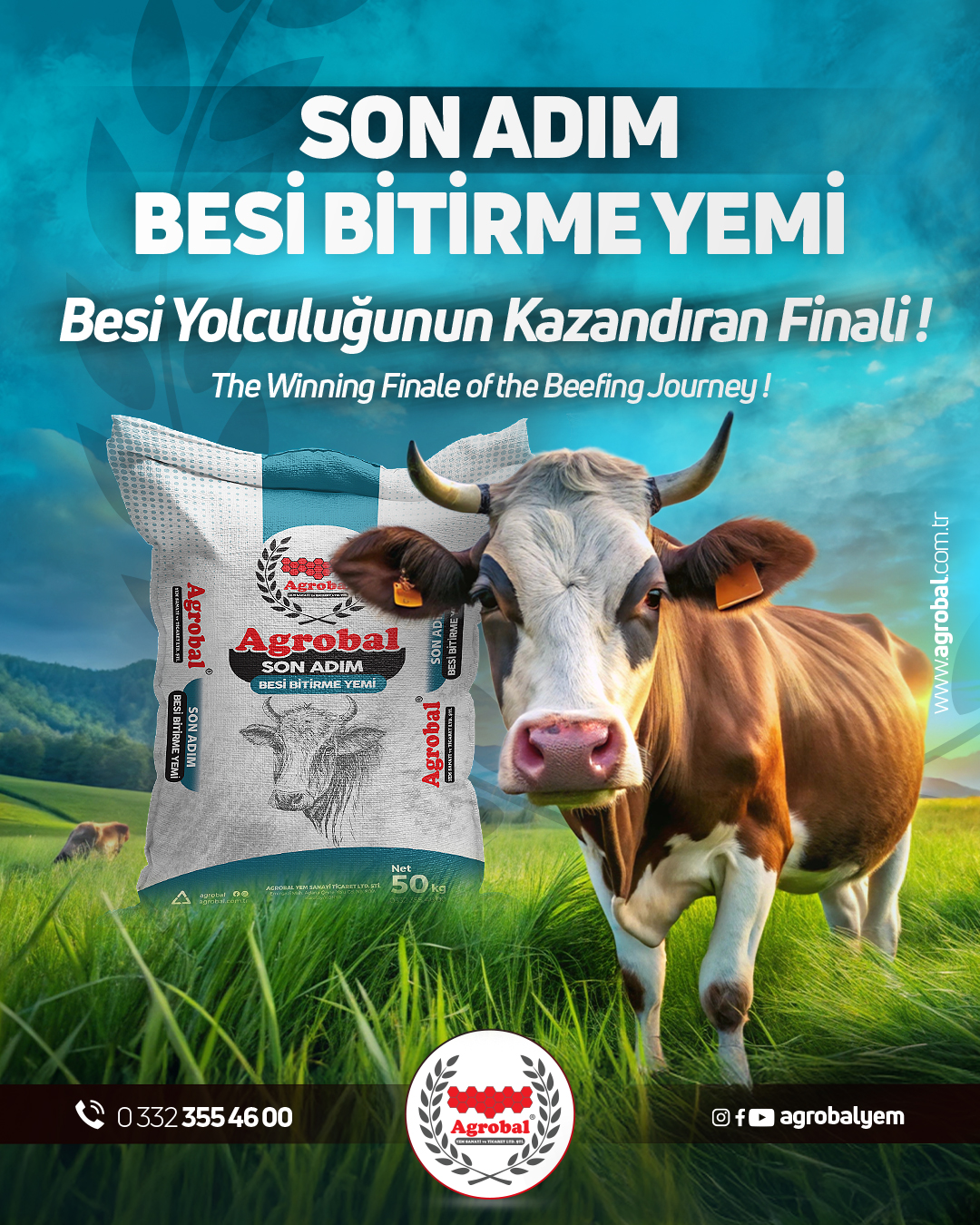 HT Medya Tasarım