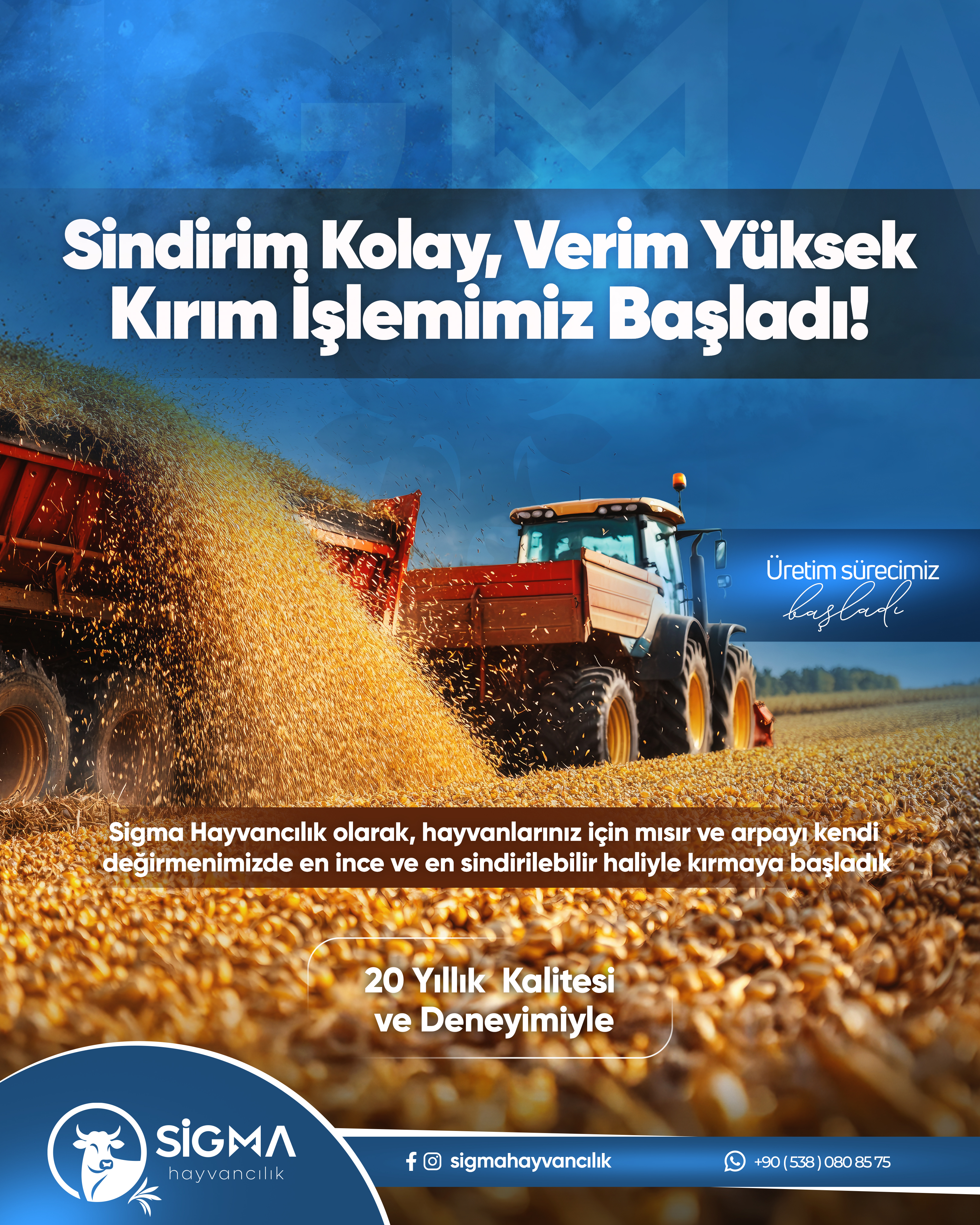 HT Medya Tasarım