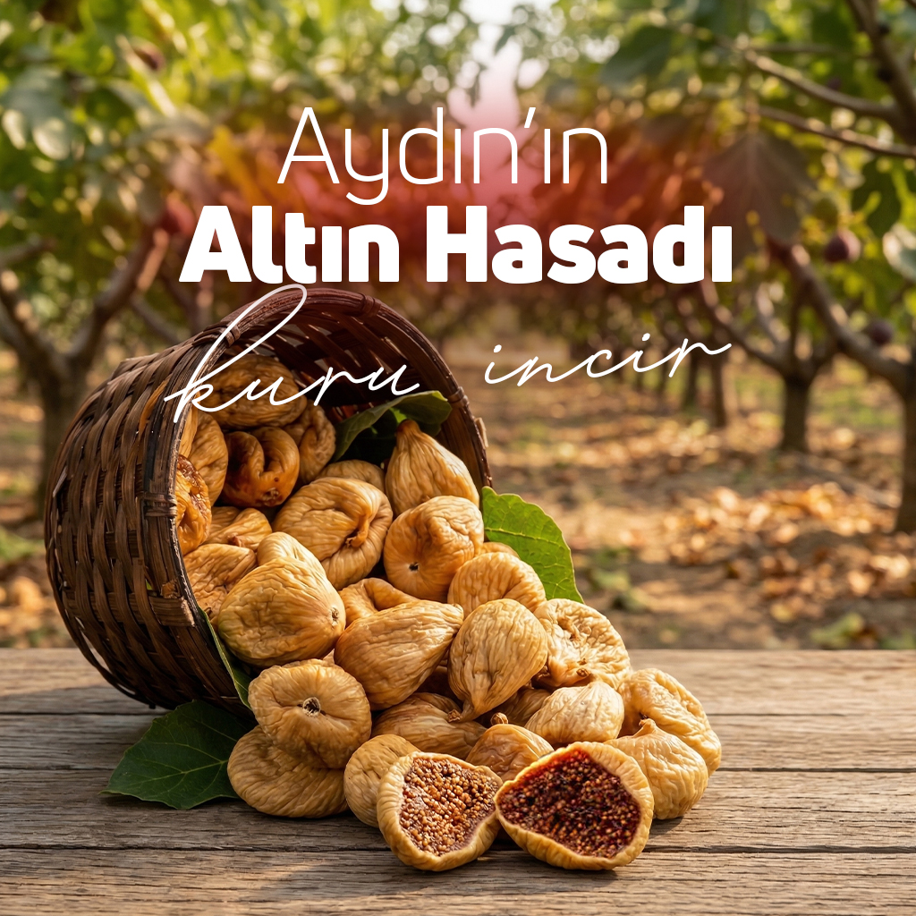 HT Medya Tasarım